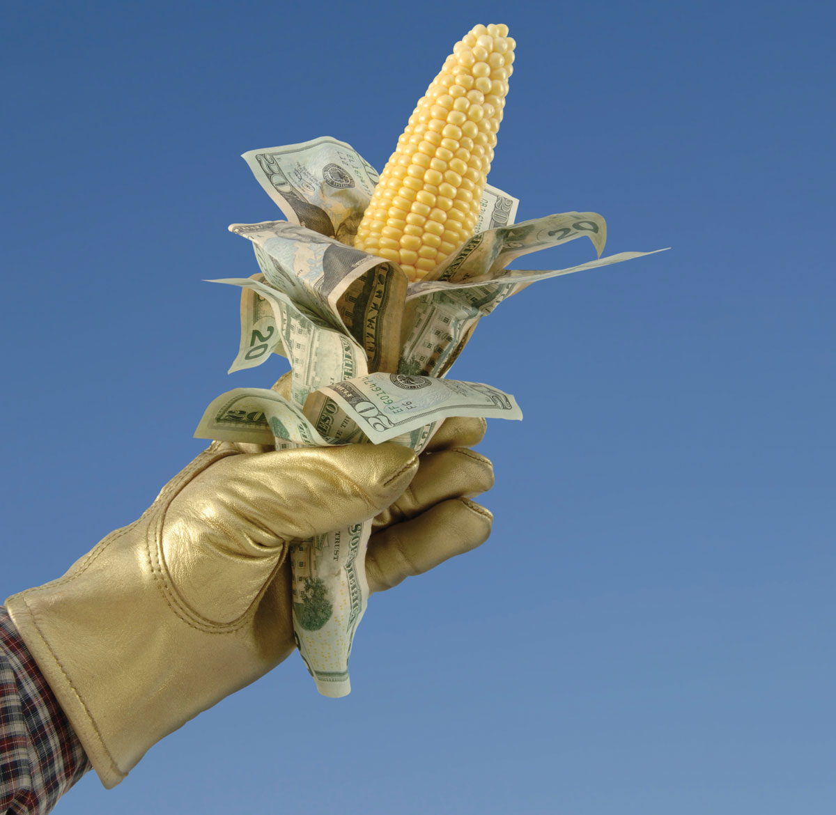 Do farm subsidies work? CITYVIEW