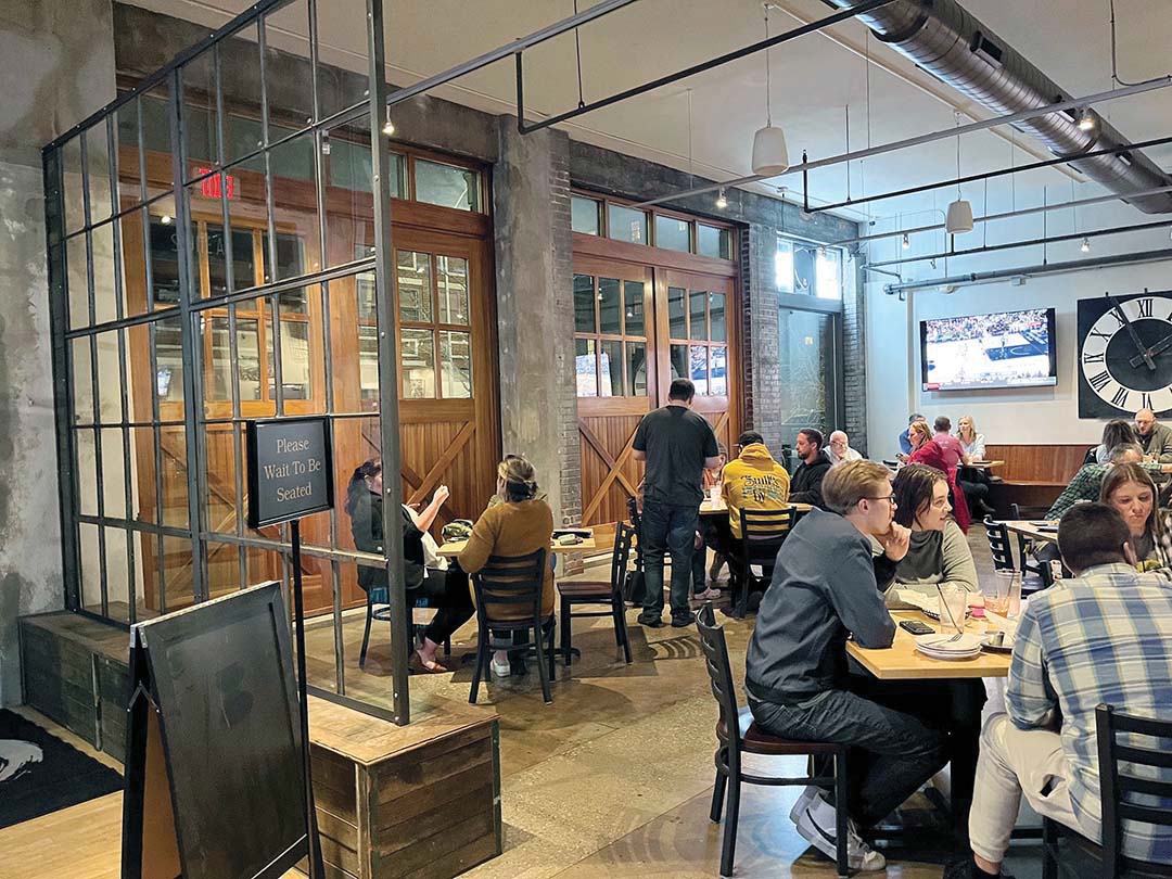 The Walnut | CITYVIEW - Vimarsana News
