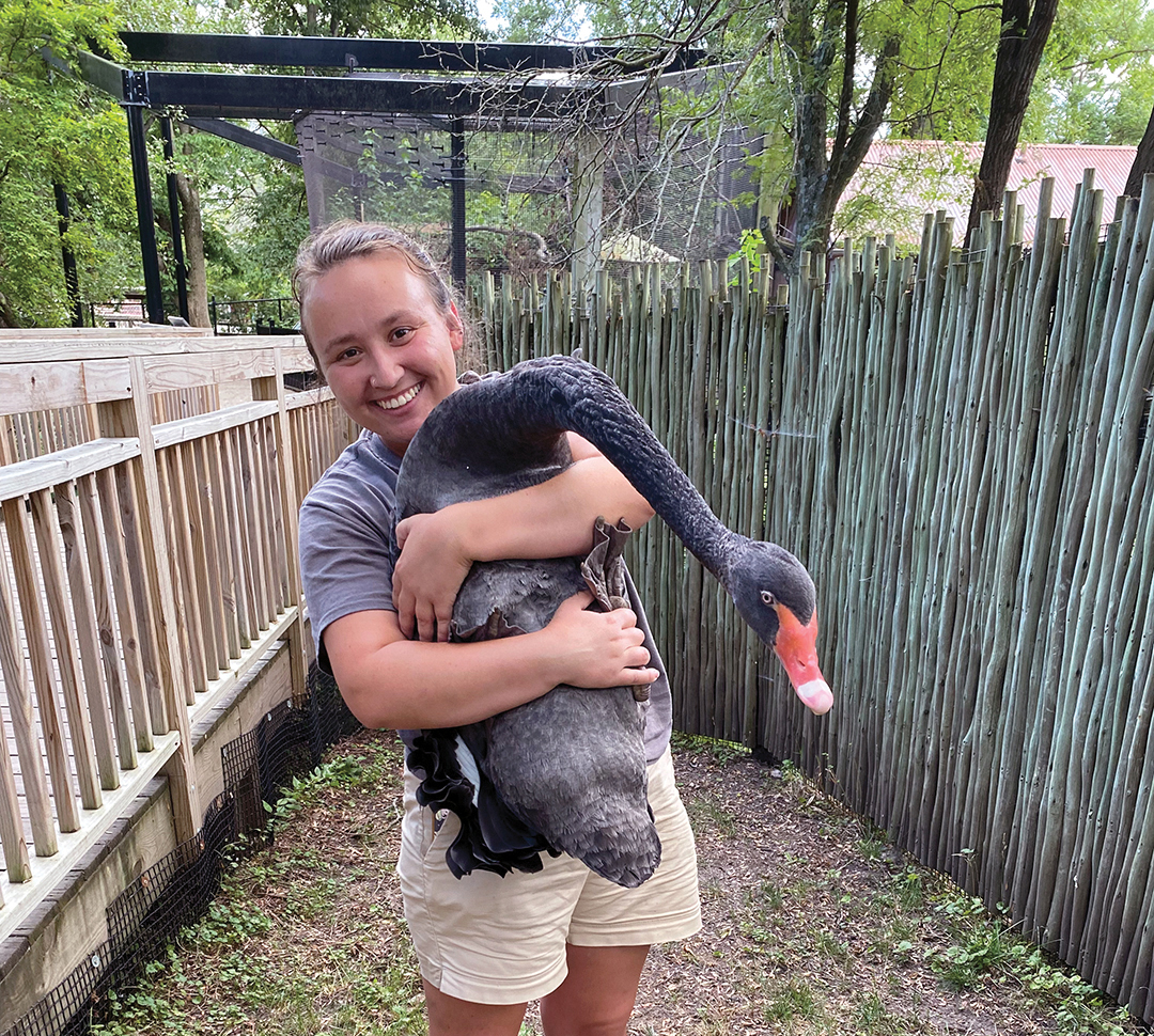 Behind the scenes with a zookeeper CITYVIEW